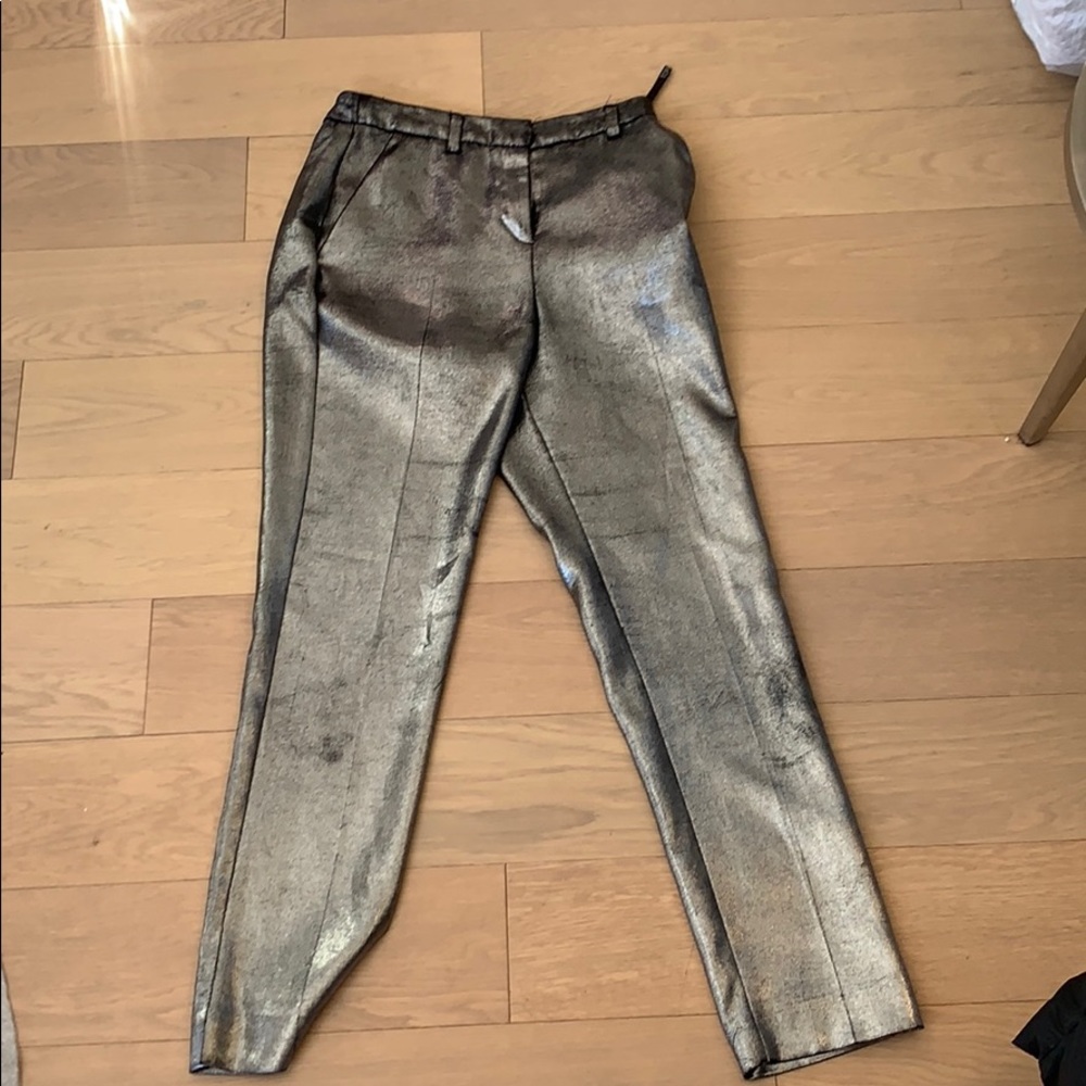 Metallic pants